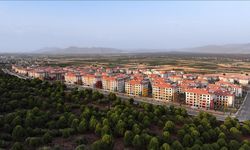 Deprem bölgesindeki inşa çalışmalarında son durum