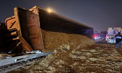 Yonga yüklü tır, virajı alamayarak devrildi.