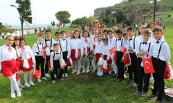 Gelibolu'da 300 zeytin fidanı toprakla buluştu