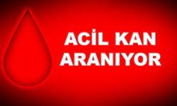 Bigalılar acil kan aranıyor!