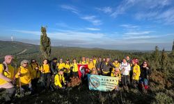 Biga'da adım adım sağlık