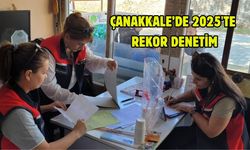 Çanakkale’de 2025'te rekor denetim