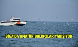 Biga’da amatör balıkçılar yarışıyor