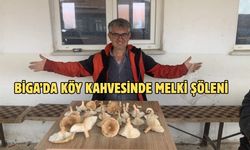 Biga’da köy kahvesinde melki şöleni