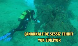 Çanakkale’de sessiz tehdit yok ediliyor