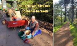 Biga’da toprak sürüldü, süt teslim edildi, mantar toplandı