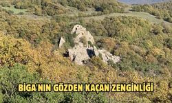 Biga'nın gözden kaçan zenginliği
