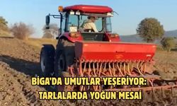 Biga’da umutlar yeşeriyor: Tarlalarda yoğun mesai