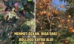 Mehmet Özkan, Biga'daki bolluğu kayda aldı