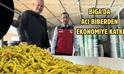 Biga’da acı biberden ekonomiye katkı