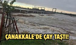 Çanakkale’de çay taştı!