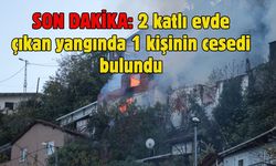 SON DAKİKA: 2 katlı evde çıkan yangında 1 kişinin cesedi bulundu