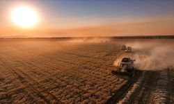 Bigalılar ödemeler bugün yapılacak