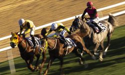 At yarışlarında Cumhuriyet ve Cumhurbaşkanlığı koşuları yapıldı