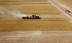 Çiftçilere 1,5 milyar liralık tarımsal destekleme ödemesi yapılacak