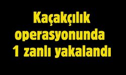 Kaçakçılık operasyonunda 1 zanlı yakalandı