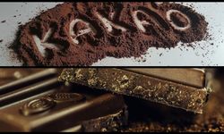 Kakao fiyatları yüzde 55 düştü