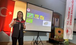 4 bin samuray arısı Biga’da görevde