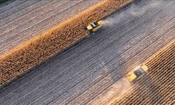 Çiftçinin Maliyeti Eylül'de Yükseldi: Aylık Artış Yüzde 2,16