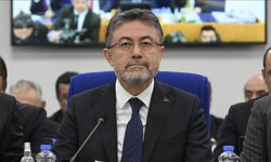 Ata tohumu çeşit sayısı 49'a yükseldi