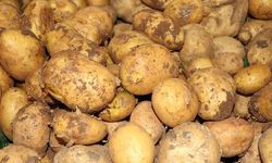 Ticaret Bakanlığından patates fiyatlarına ilişkin açıklama