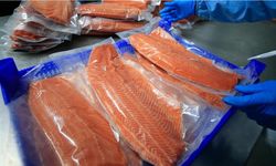 10 aylık Türk somonu ihracatı 152 milyon doları aştı