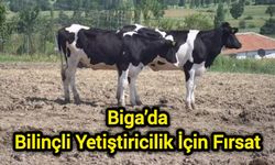Biga’da Bilinçli Yetiştiricilik İçin Fırsat