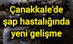 Çanakkale’de şap hastalığında yeni gelişme
