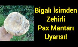 Bigalı İsimden Zehirli Pax Mantarı Uyarısı!