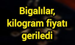 Bigalılar, kilogram fiyatı geriledi