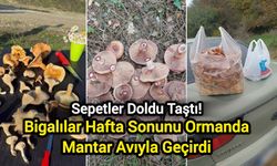 Sepetler Doldu Taştı! Bigalılar Hafta Sonunu Ormanda Mantar Avıyla Geçirdi