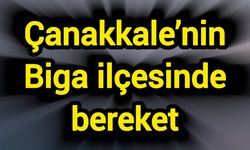 Çanakkale’nin Biga ilçesinde bereket
