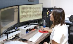 Akademisyenler bazı balık türlerinde mikroplastikleri araştırdı