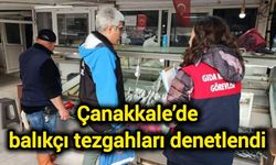 Çanakkale’de balıkçı tezgahları denetlendi