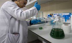 Türk akademisyenler, balıktan krem üretti