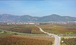 Ova kısmında çöküntü tehlikesi