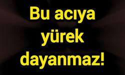 Bu acıya yürek dayanmaz!