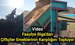 Fasulye Biga'dan: Çiftçiler Emeklerinin Karşılığını Topluyor