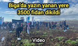 Çanakkale Biga’da yazın yanan yere 3500 fidan dikildi