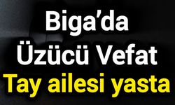 Biga’da Üzücü Vefat: Tay ailesi yasta