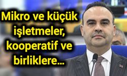 Mikro ve küçük işletmeler, kooperatif ve birliklere…