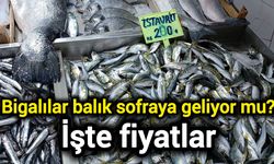 Bigalılar balık sofraya geliyor mu? İşte fiyatlar