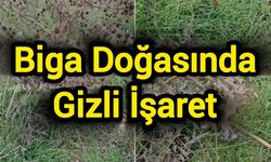 Biga Doğasında Gizli İşaret
