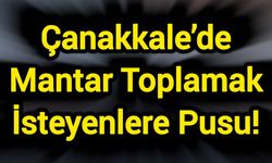 Çanakkale’de Mantar Toplamak İsteyenlere Pusu!