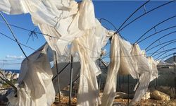 Üreticilere 11,6 milyar lira hasar tazminatı ödendi