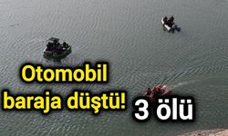 Otomobil baraja düştü! 3 ölü