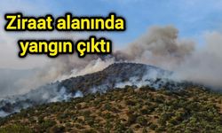 Ziraat alanında yangın çıktı