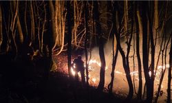 Çıkan örtü yangınına müdahale ediliyor