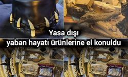 Yasa dışı yaban hayatı ürünlerine el konuldu