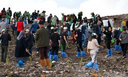 Çanakkale'de 14 Ayrı Noktada 20 Bin Fidan Toprakla Buluştu